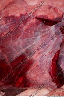 Photo Textures of RAW Pork Meat